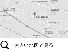 群馬県高崎市矢中町20-1